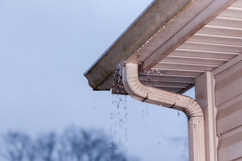 Signs You Need Gutter Cover Service